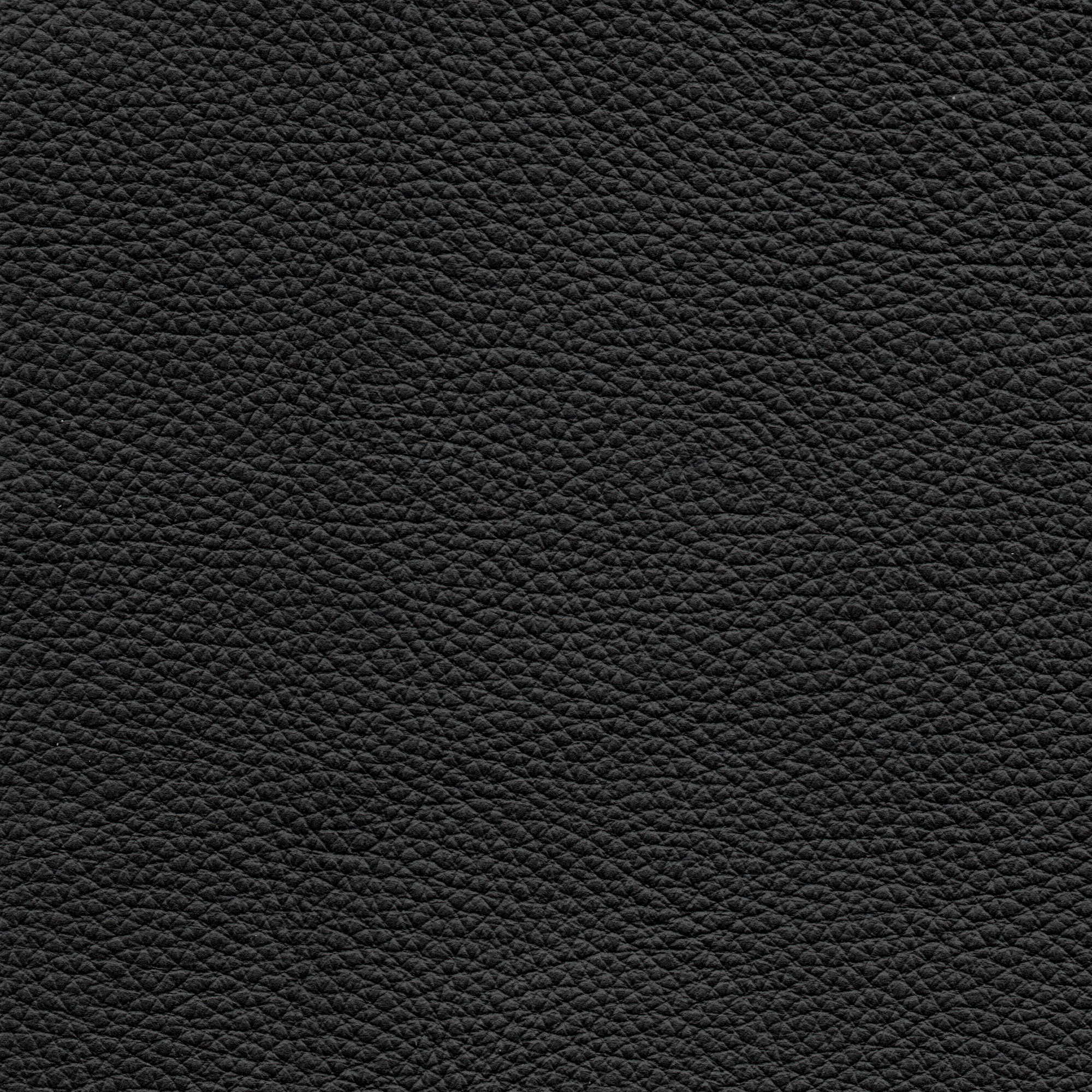 Pelle Natural Nero 4008 – vera pelle fiore morbida, campione steso