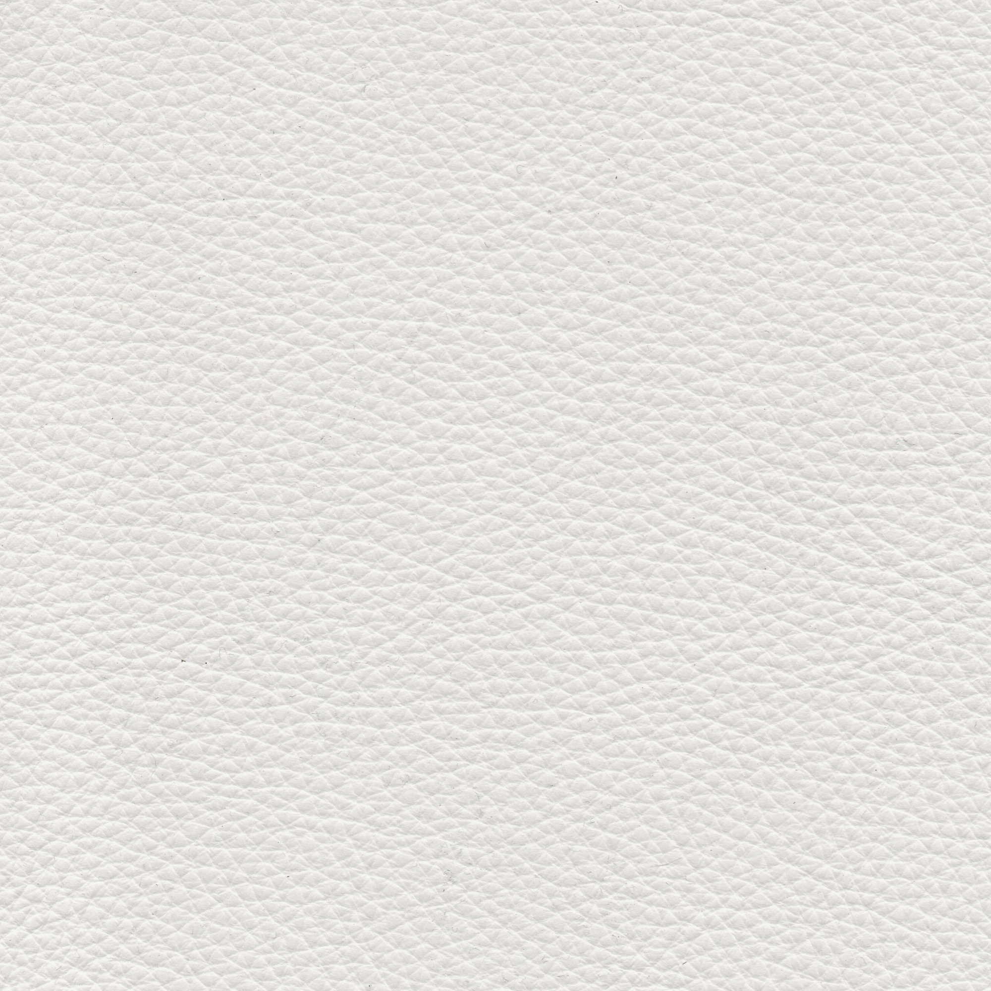 Pelle Natural Neve 4009 – vera pelle fiore morbida, campione steso
