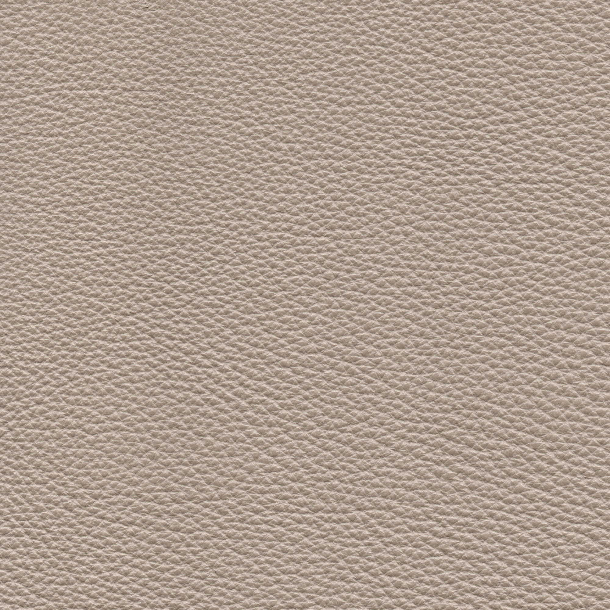 Pelle Natural Lontra 4013 – vera pelle fiore morbida, campione steso
