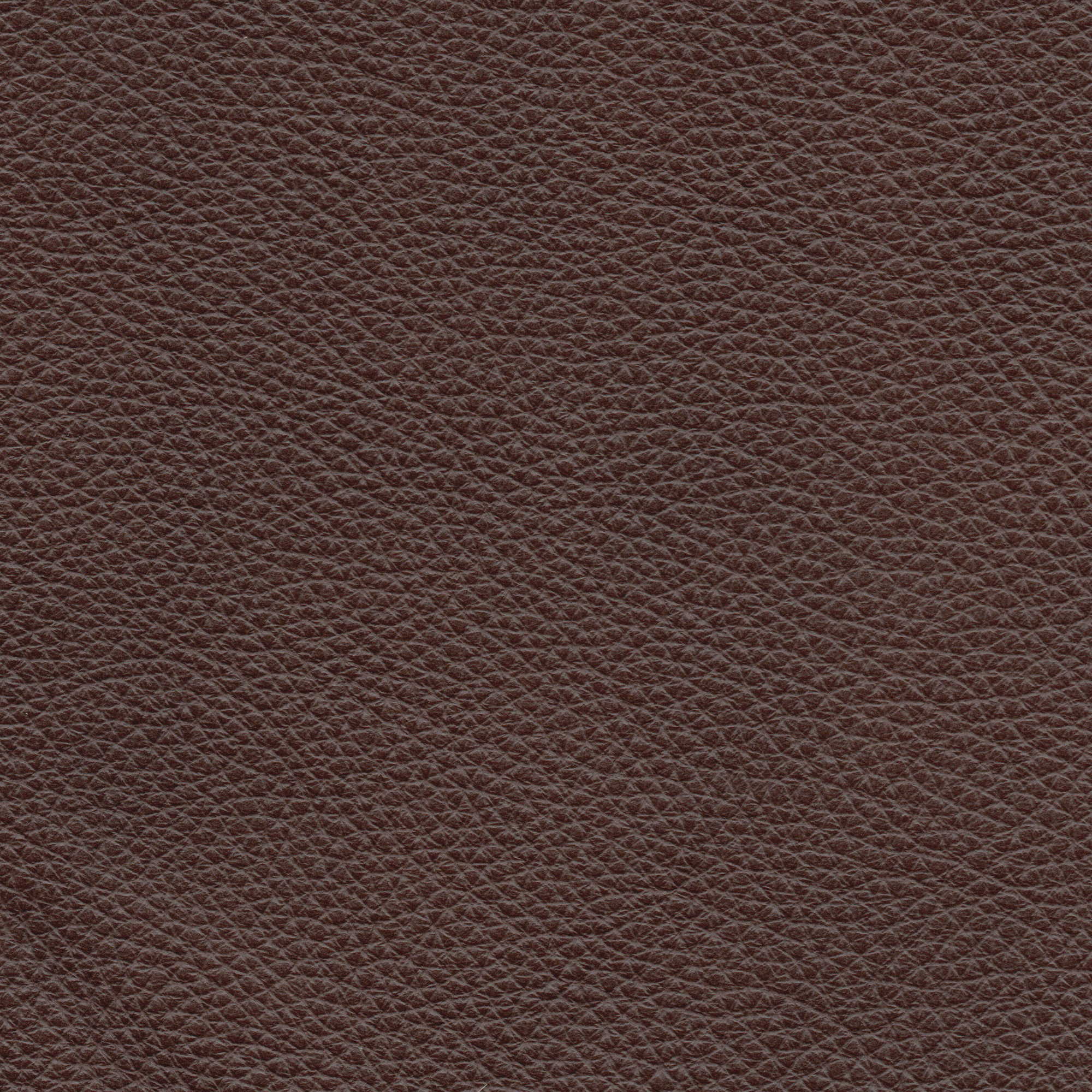 Pelle Natural Chocolate nuv. 4022 – vera pelle fiore morbida, campione steso