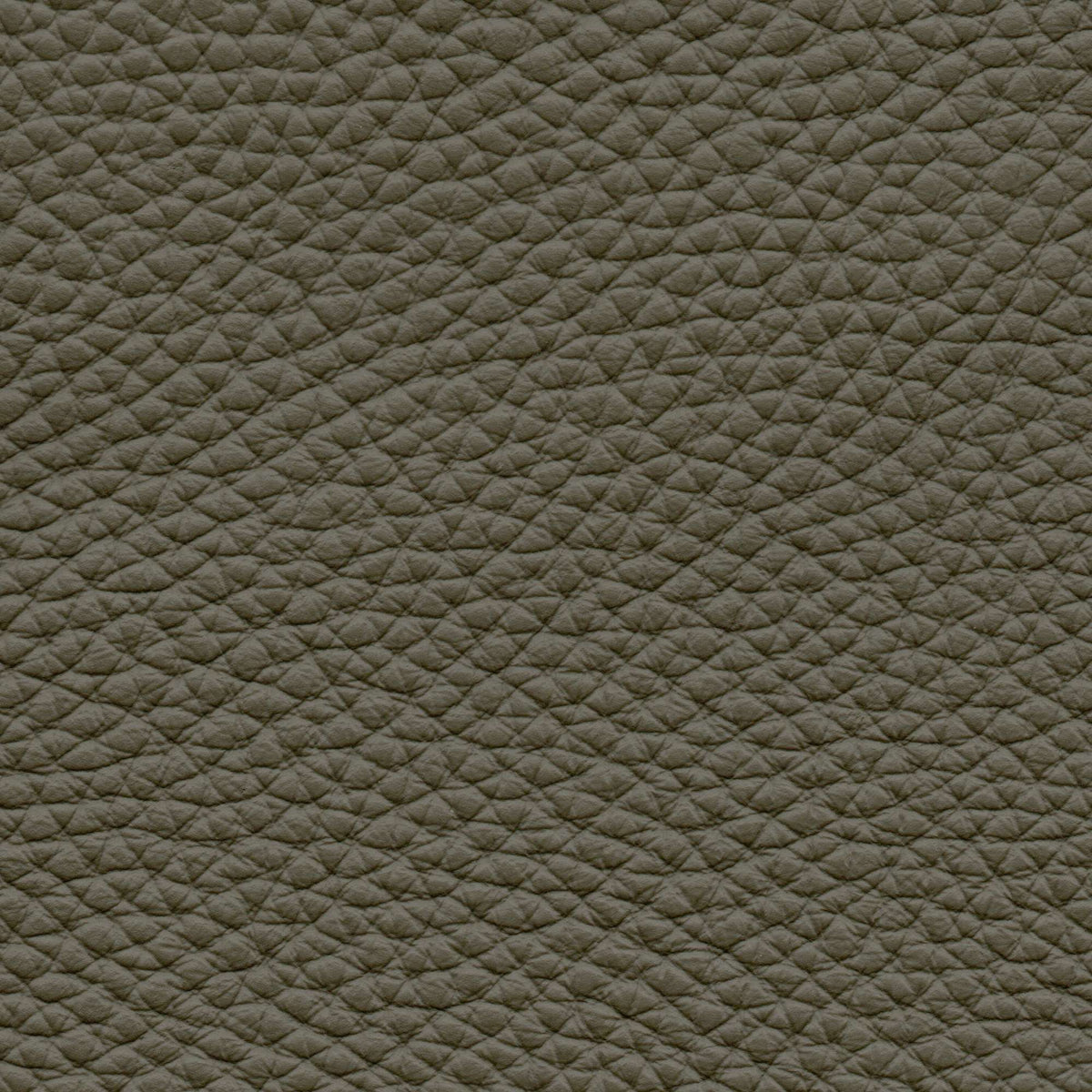 Pelle Pamplona Army Green 6512 – vera pelle ad alto spessore e stampa marcata, campione steso