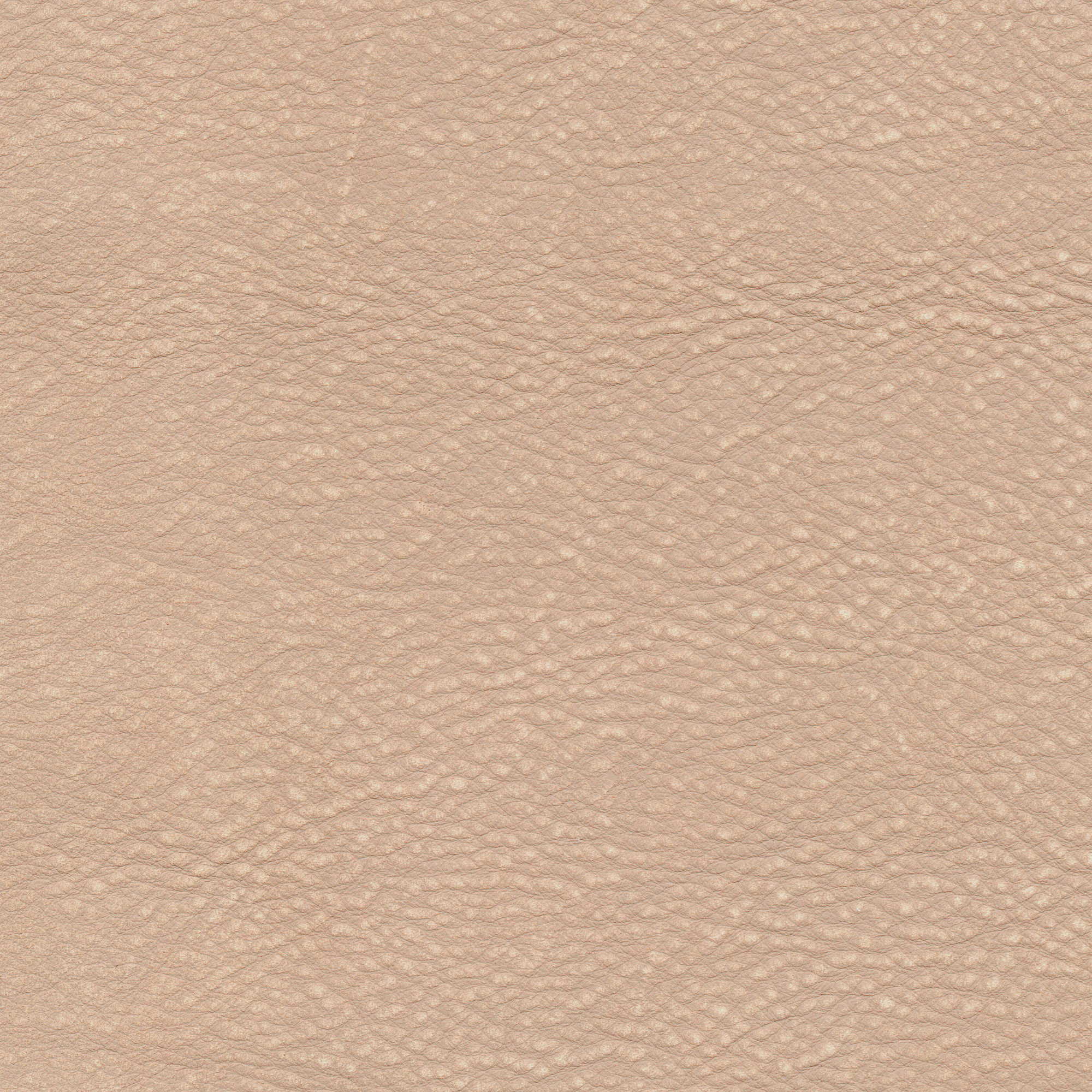 Pelle Maya Deserto 7302 – vera pelle nabuk scamosciata, campione steso