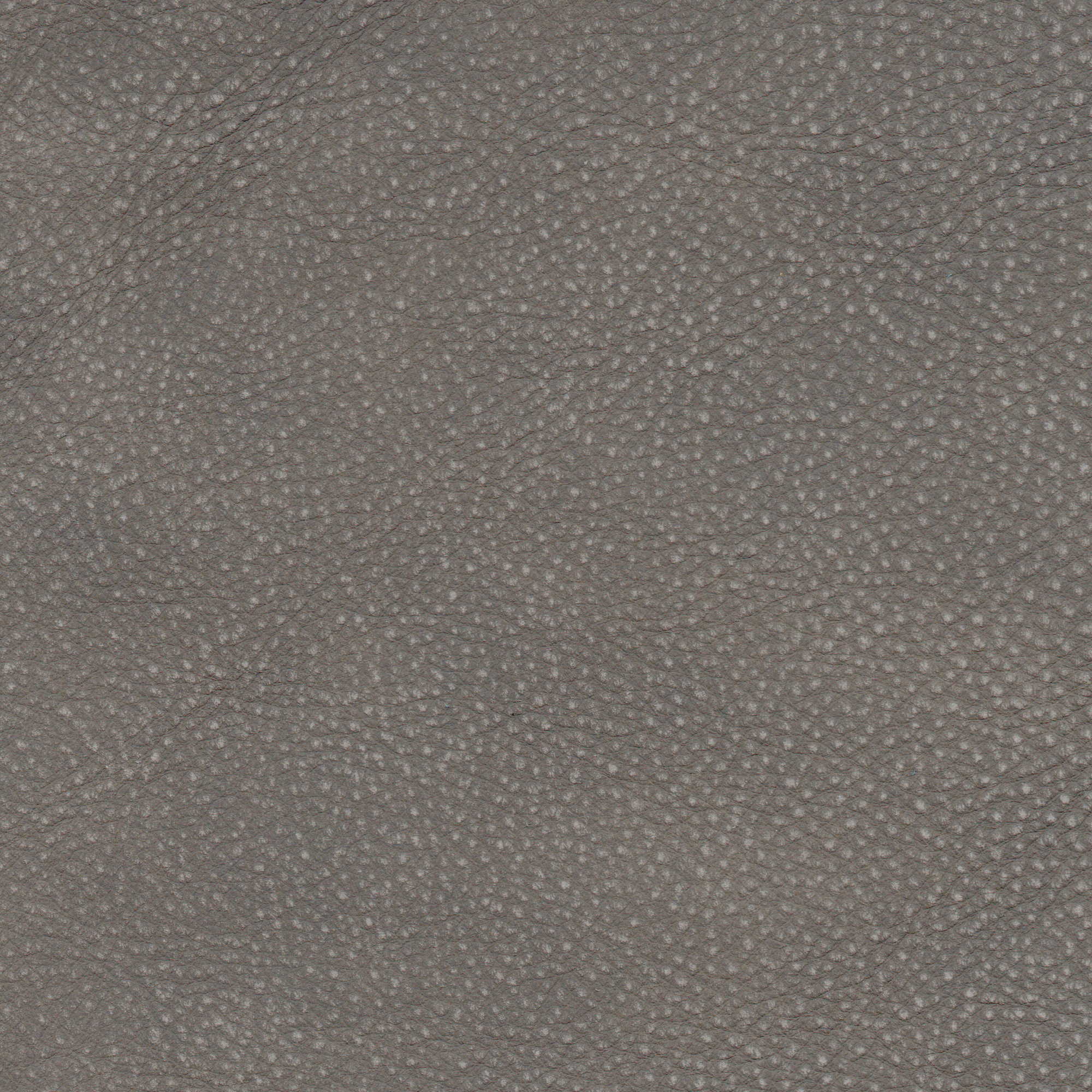 Pelle Maya Lava 7304 – vera pelle nabuk scamosciata, campione steso