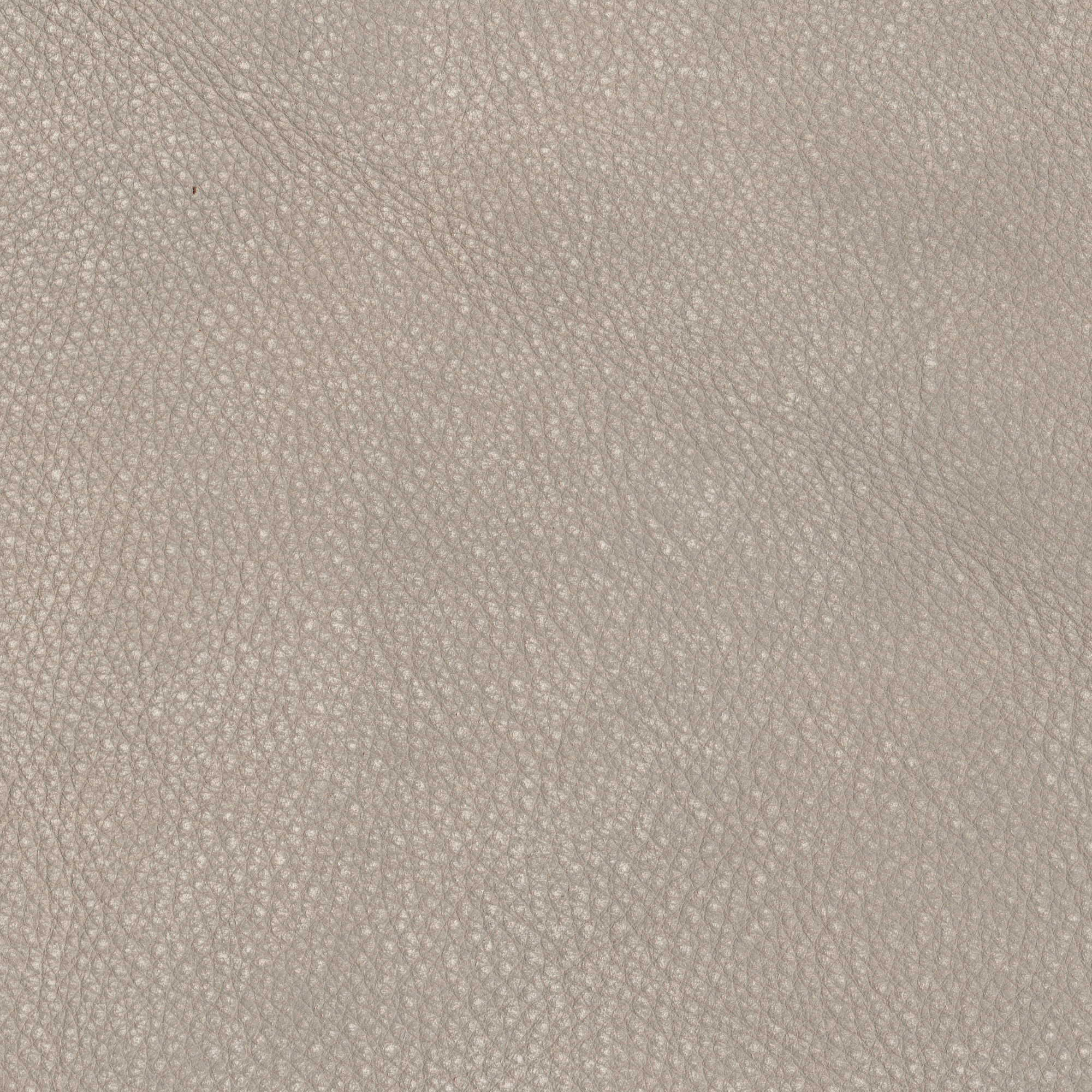 Pelle Maya Pietra 7307 – vera pelle nabuk scamosciata, campione steso