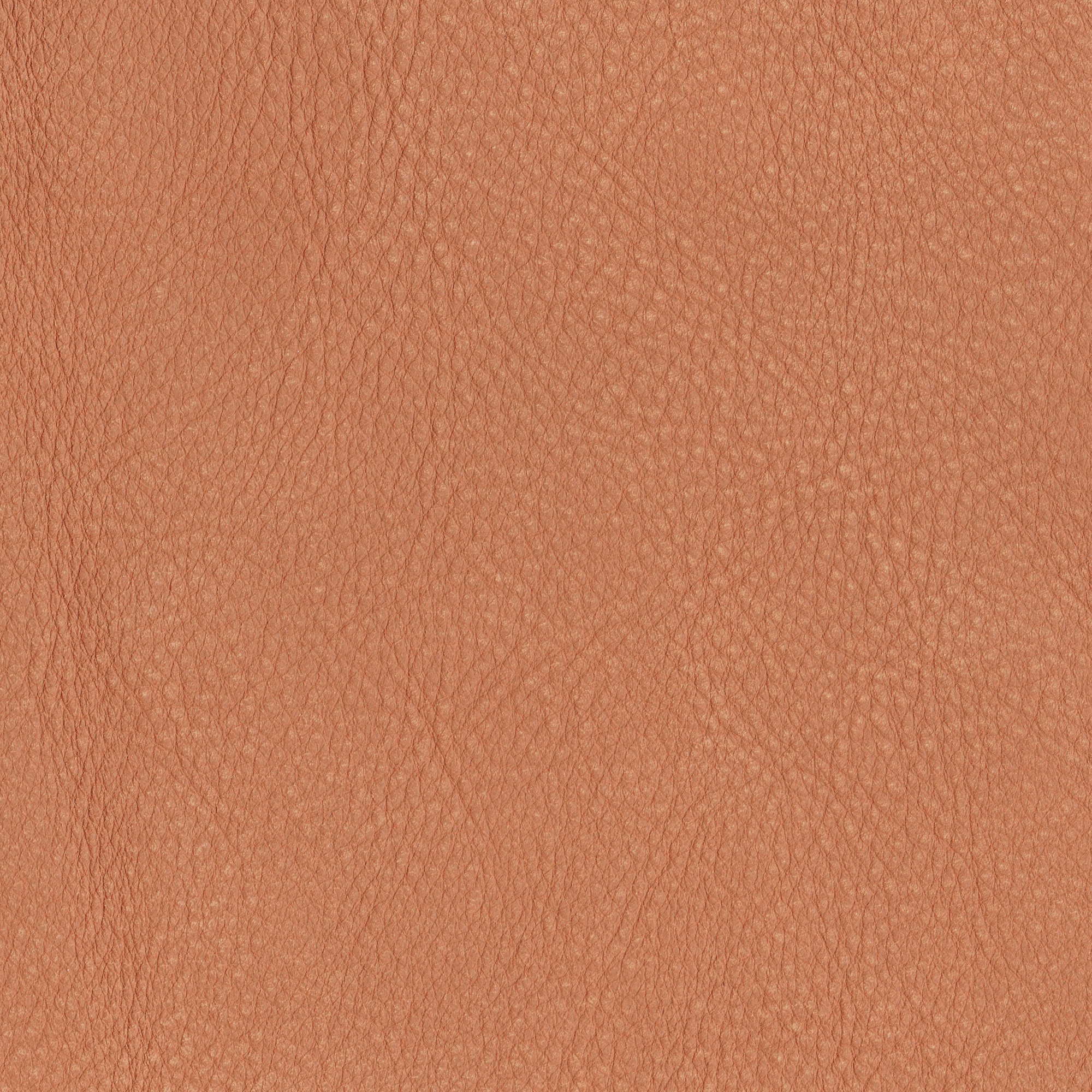 Pelle Maya Hermes 7316 – vera pelle nabuk scamosciata, campione steso