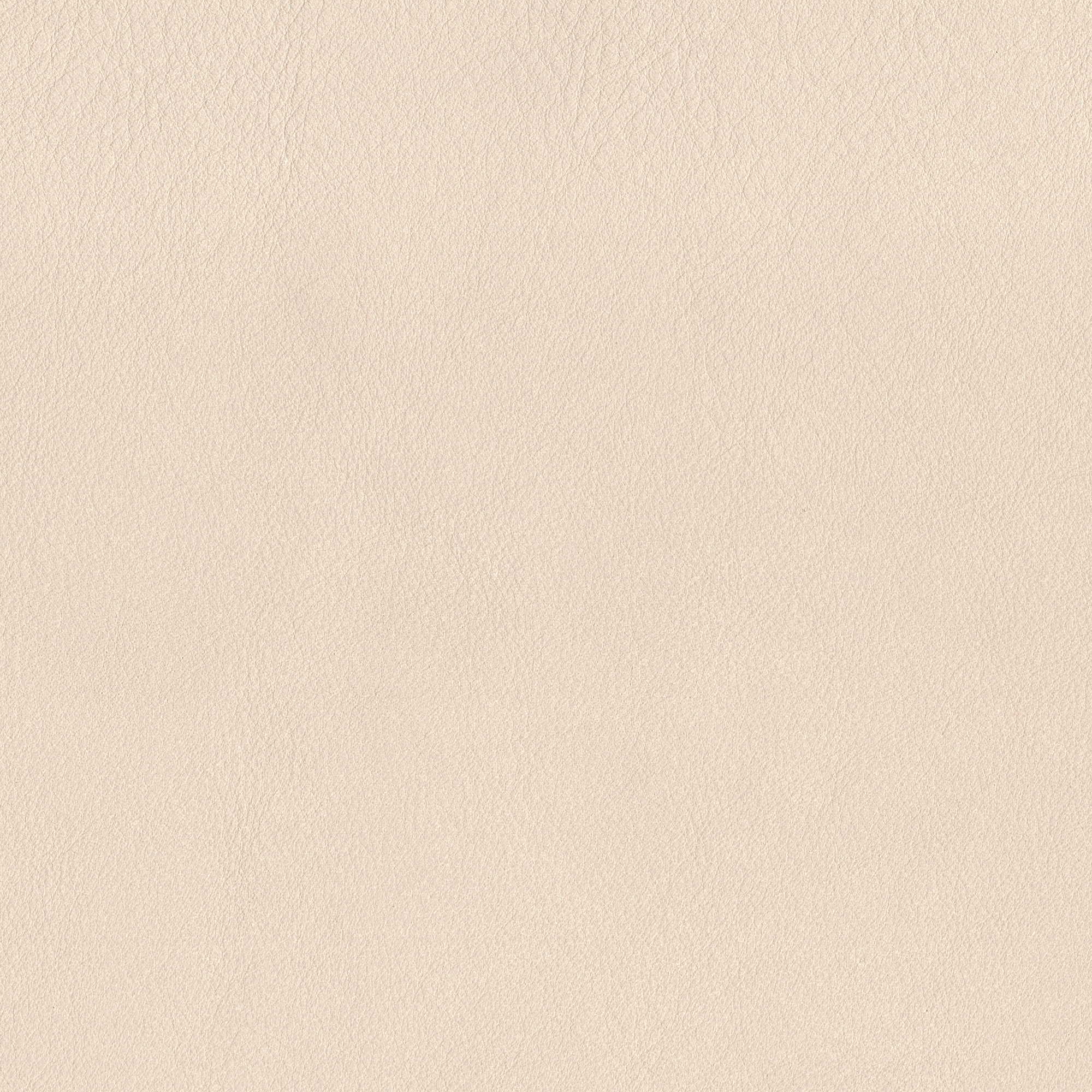 Pelle Maya Champagne 7318 – vera pelle nabuk scamosciata, campione steso