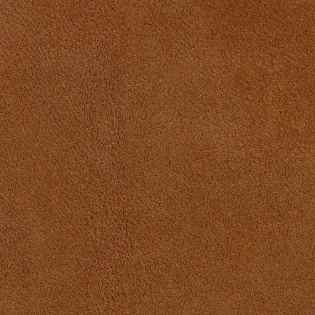 Pelle Maya Cacao 7323 – vera pelle nabuk scamosciata, campione steso