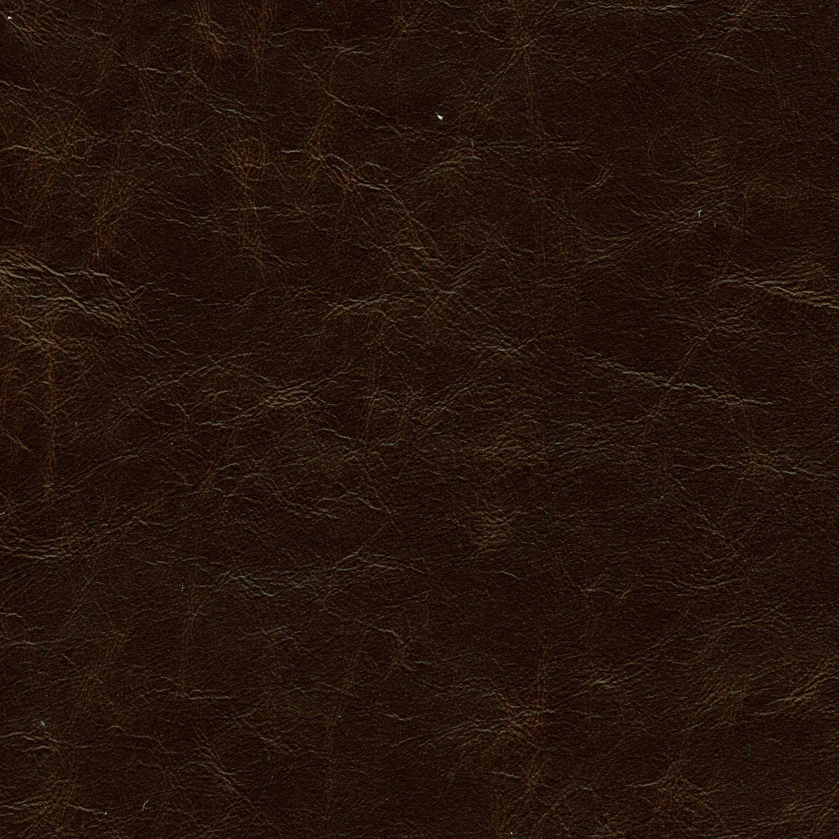 Pelle Etrusco Antique Brown 8002 – vera pelle cerata dall'aspetto vintage e lucido, campione steso