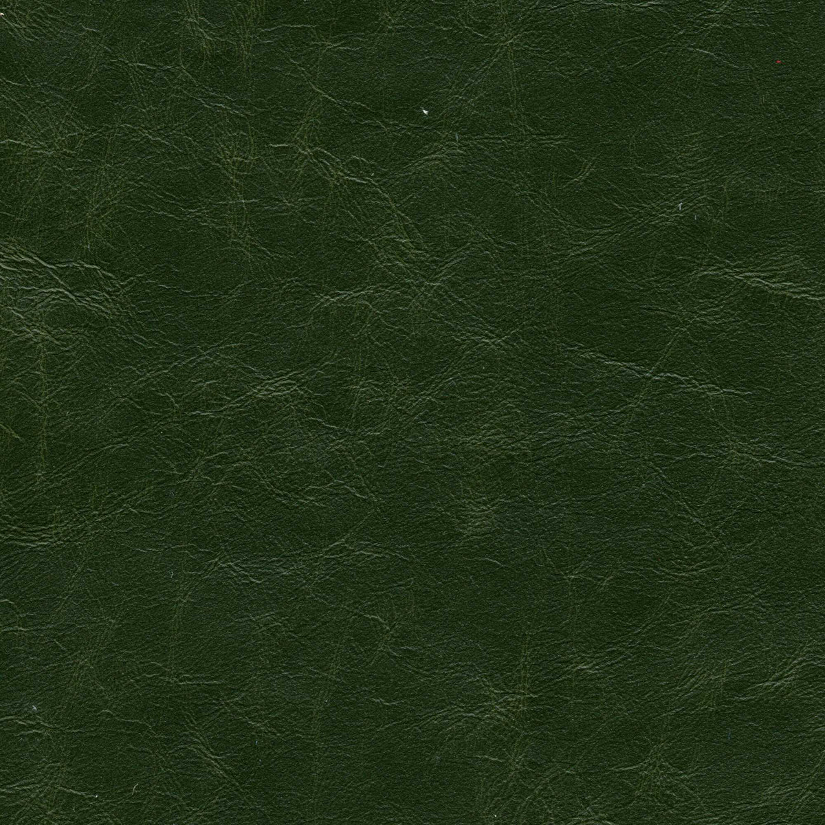Pelle Etrusco British Green 8003 – vera pelle cerata dall'aspetto vintage e lucido, campione steso