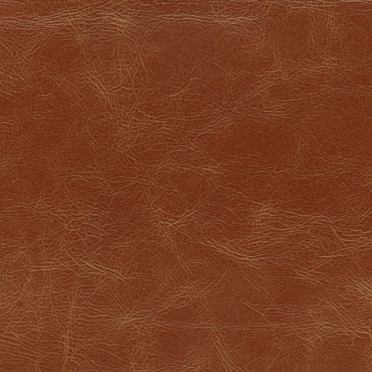 Pelle Etrusco Cognac 8004 – vera pelle cerata dall'aspetto vintage e lucido, campione steso
