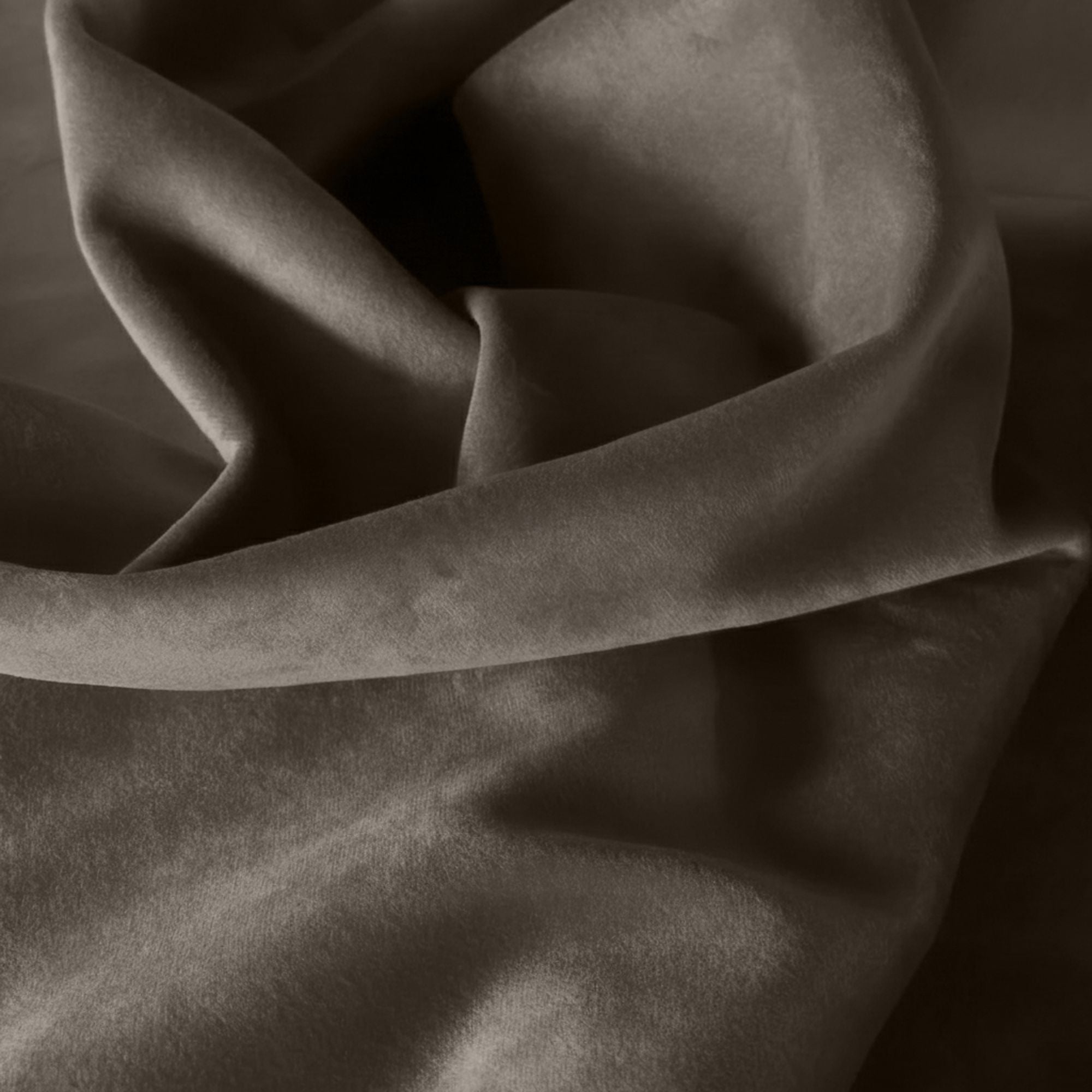 TESSUTO VOGUE (Velluto) Brown 007