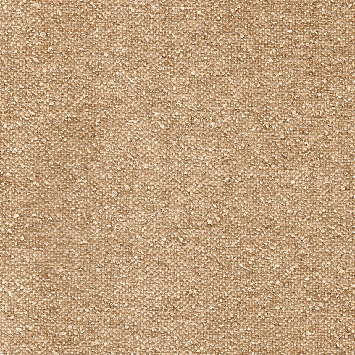 Tessuto Amy Nature Am01 – micro bouclé vellutato, colore beige