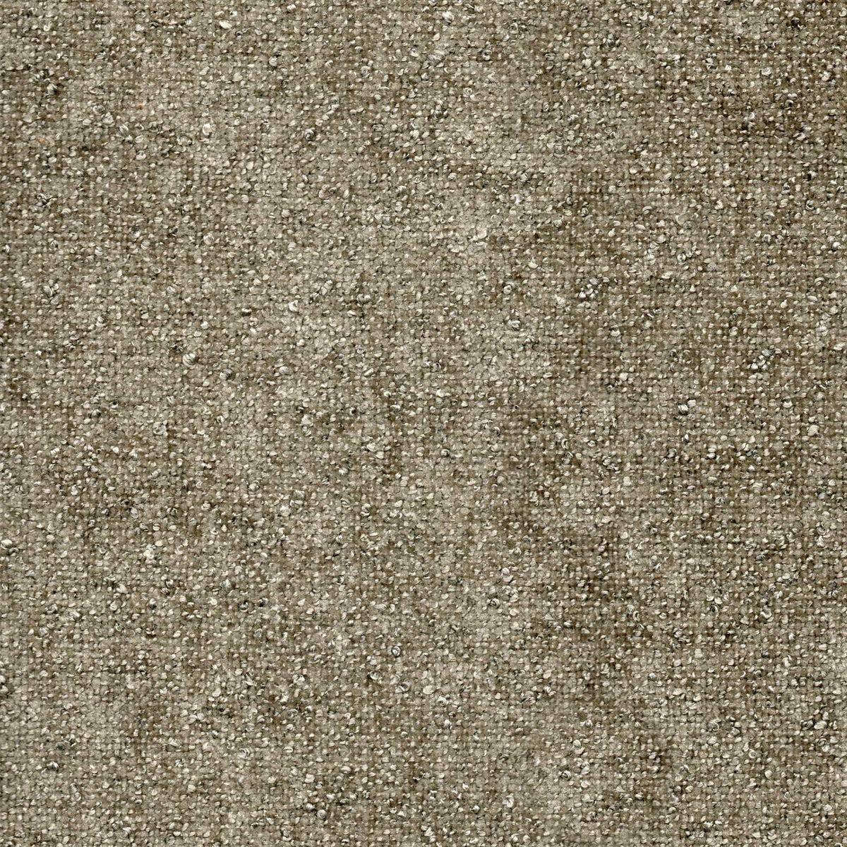 Tessuto Amy Nougat am06 – micro bouclé vellutato, colore tortora