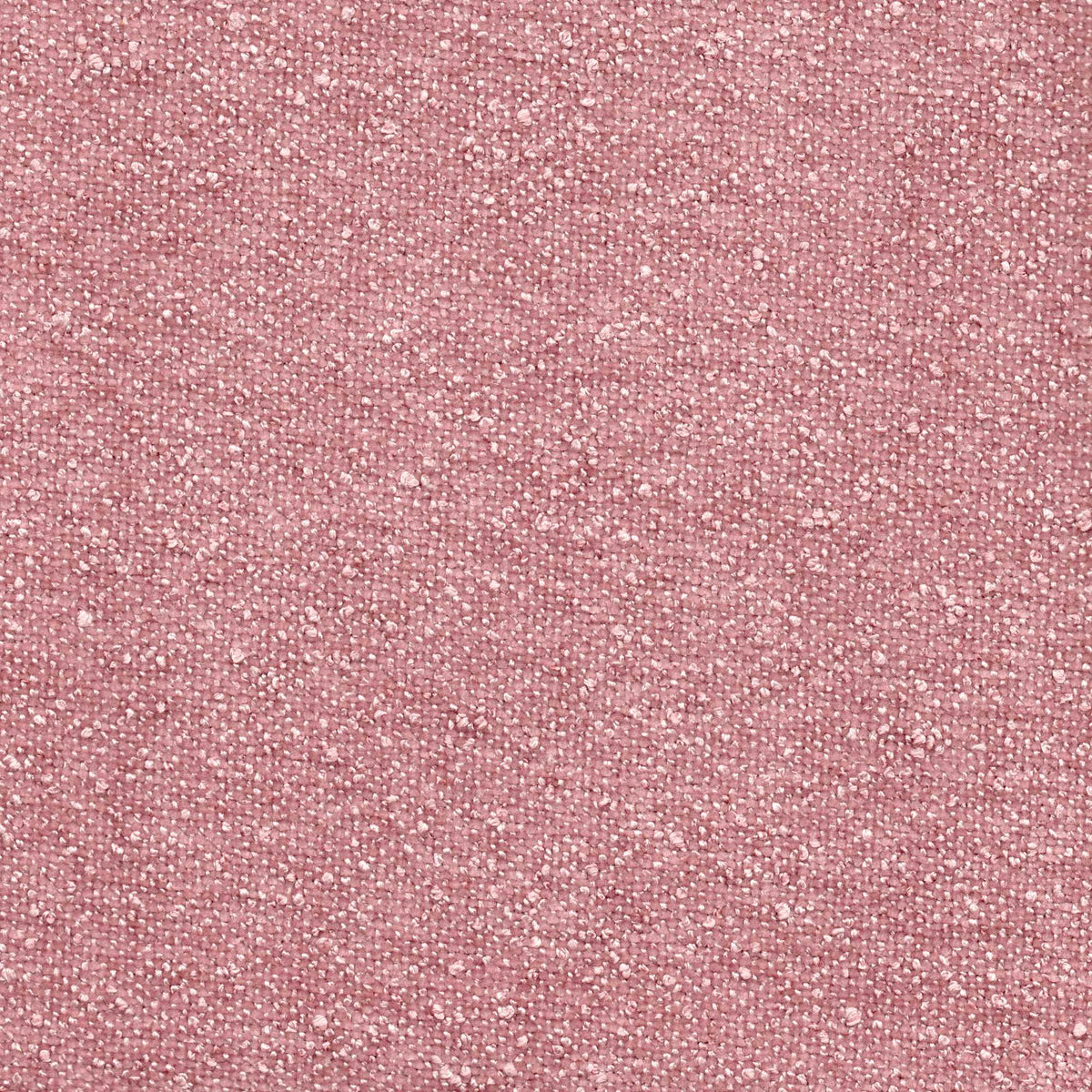 Tessuto Amy Rosewine am1670 – micro bouclé vellutato, colore rosa