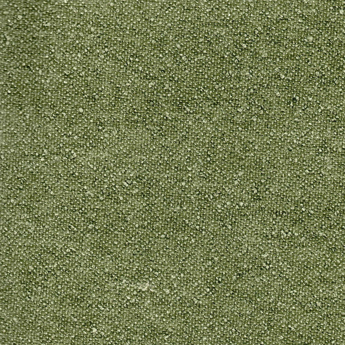 Tessuto Amy Olive am751 – micro bouclé vellutato, colore verde oliva