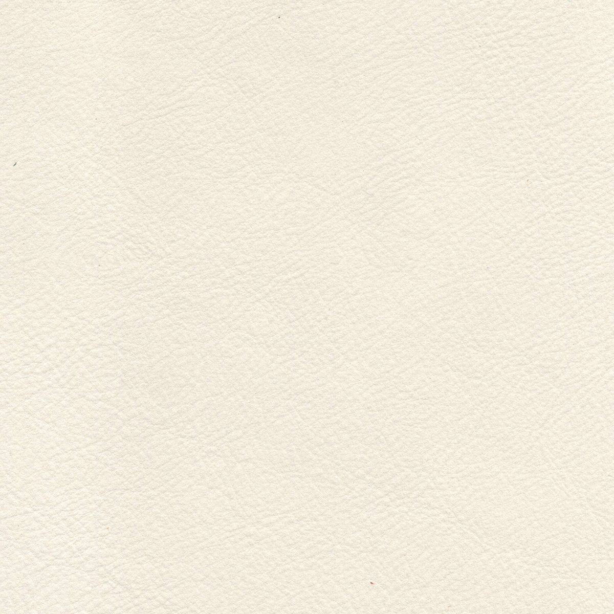 Pelle Brina Perla 5201 – vera pelle soft-touch effetto matte, colore bianco