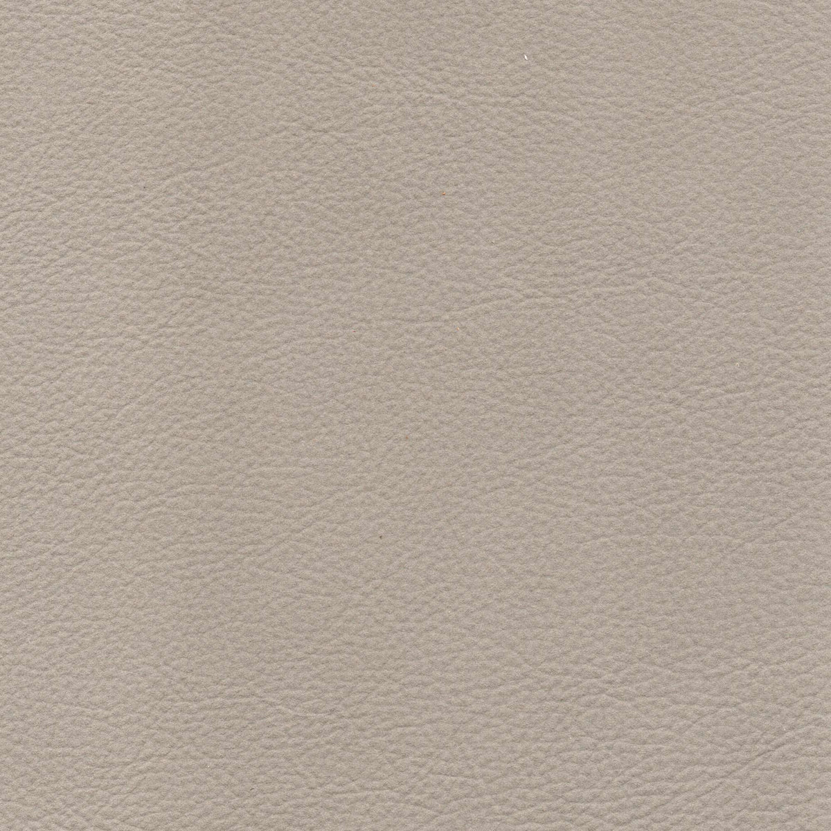 Pelle Brina Marmotta 5202 – vera pelle soft-touch effetto matte, colore grigio