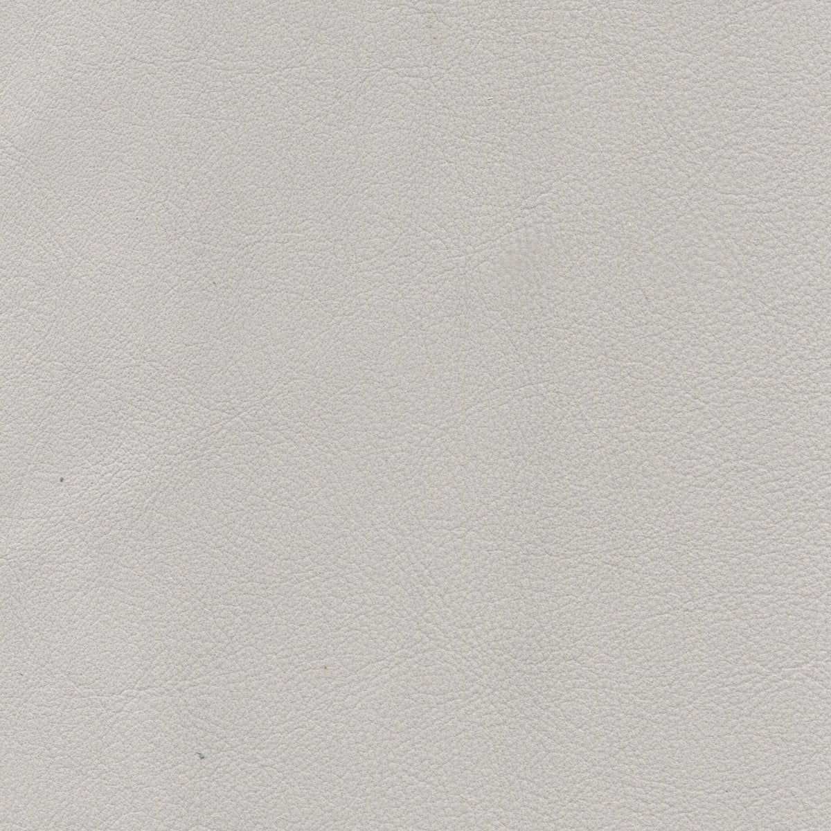 Pelle Brina Nuvola 5209 – vera pelle soft-touch effetto matte, colore bianco