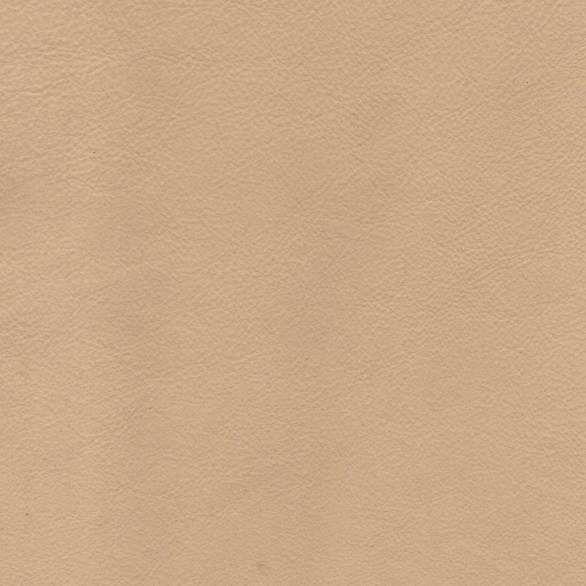 Pelle Brina Cinnamon 5216 – vera pelle soft-touch effetto matte, colore cammello