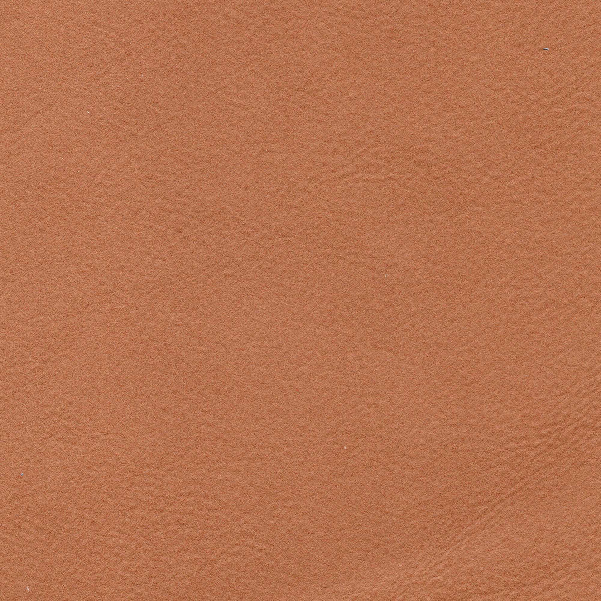 Pelle Brina Toffee 5217 – vera pelle soft-touch effetto matte, colore cognac