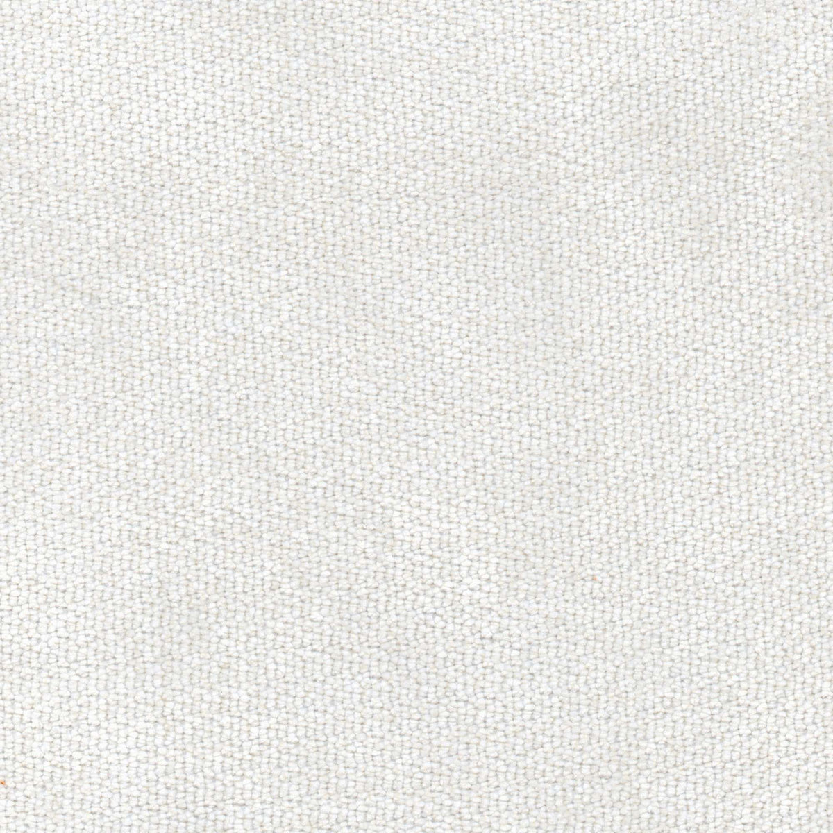 Tessuto Campbell Ivory ca03 – tessuto vellutato dalla texture compatta, colore bianco