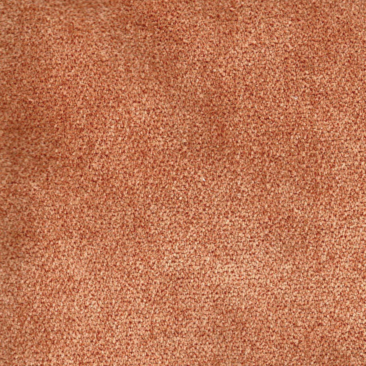Tessuto Campbell Terracotta ca145 – tessuto vellutato dalla texture compatta, colore terracotta