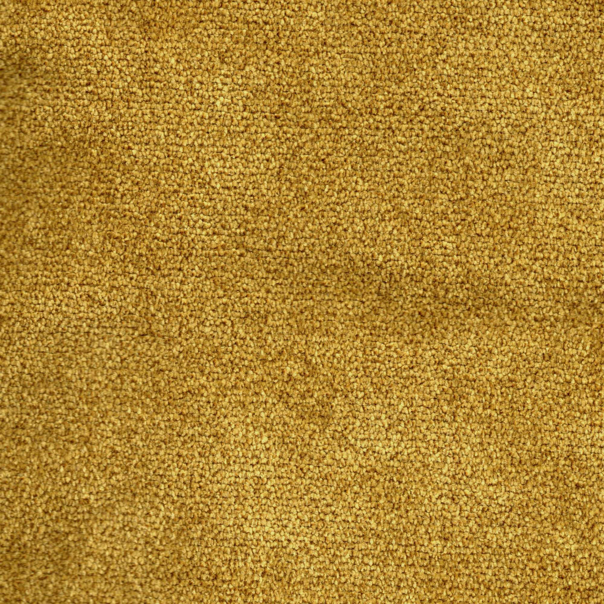 Tessuto Campbell Curry ca521 – tessuto vellutato dalla texture compatta, colore giallo ocra