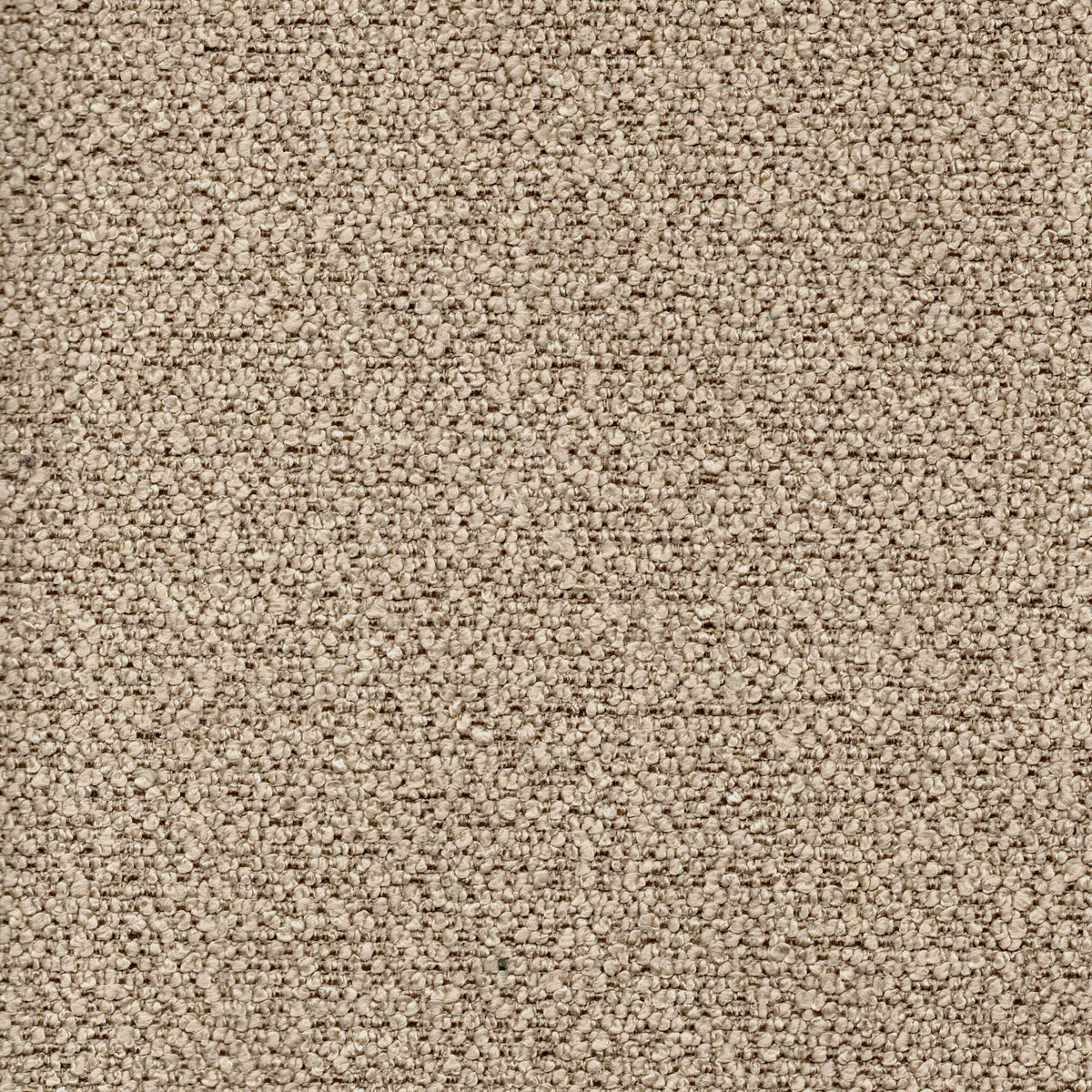 Tessuto Cloe Light Brown CL15 – bouclé dai riccioli fitti e regolari