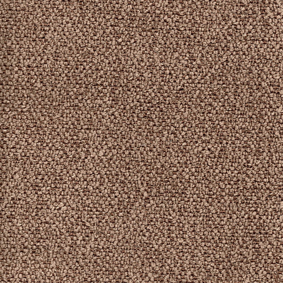 Tessuto Cloe Espresso CL210 – bouclé dai riccioli fitti e regolari