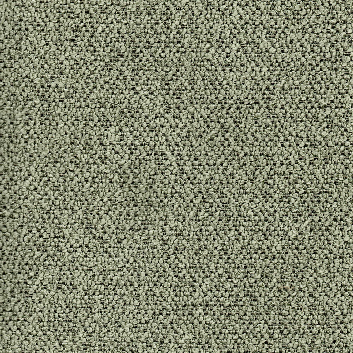 Tessuto Cloe Green CL429 – bouclé dai riccioli fitti e regolari