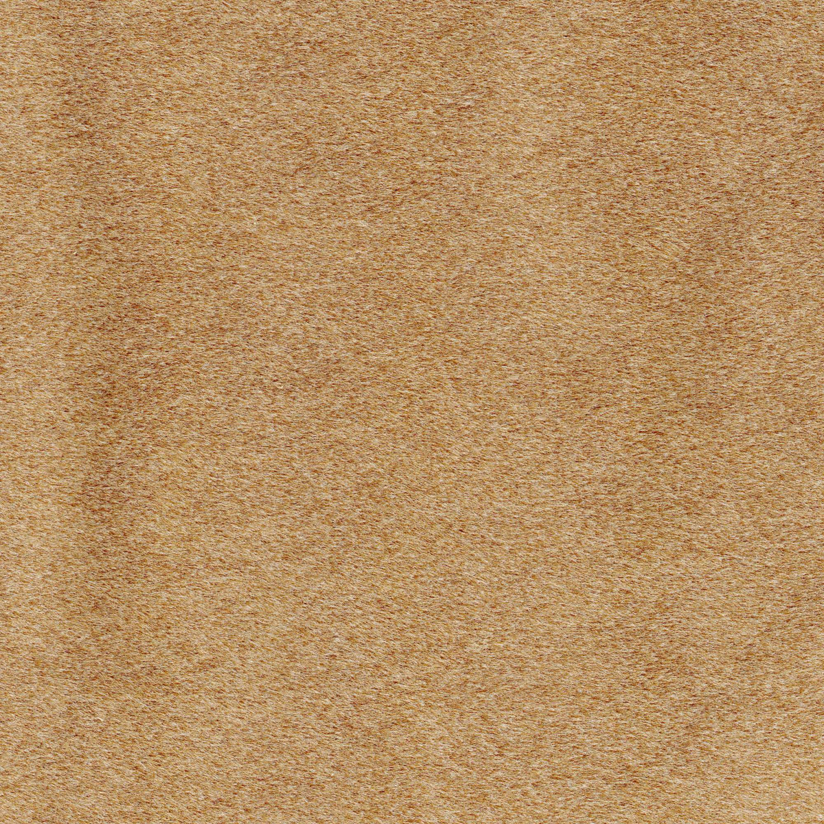 Tessuto Mohair Camel MH05 – tessuto a pelo rasato dalla mano vellutata