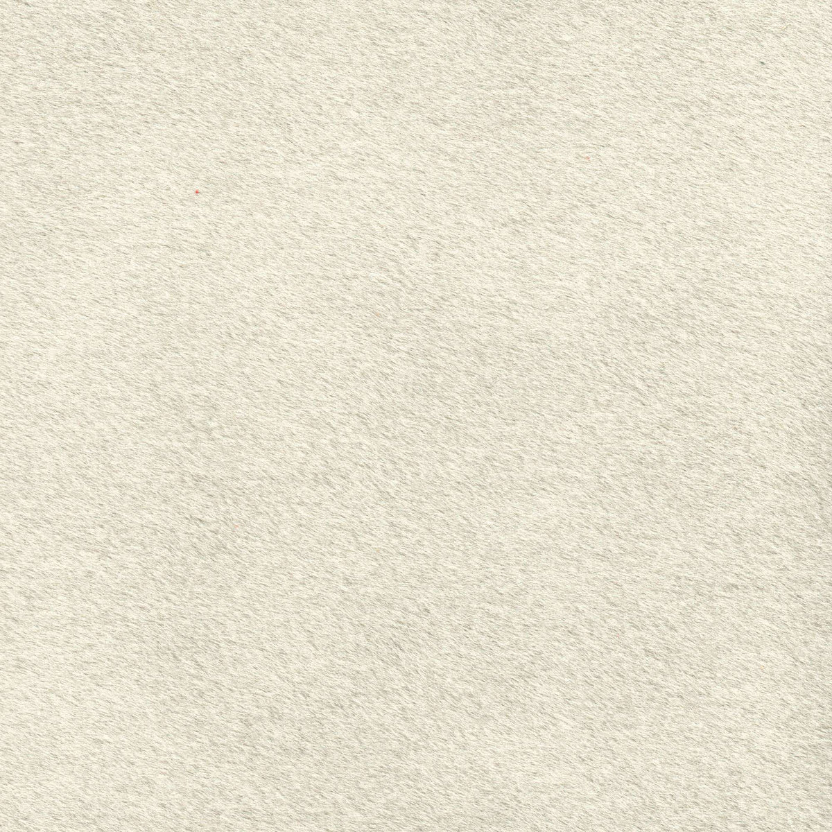 Tessuto Mohair Beige MH170 – tessuto a pelo rasato dalla mano vellutata