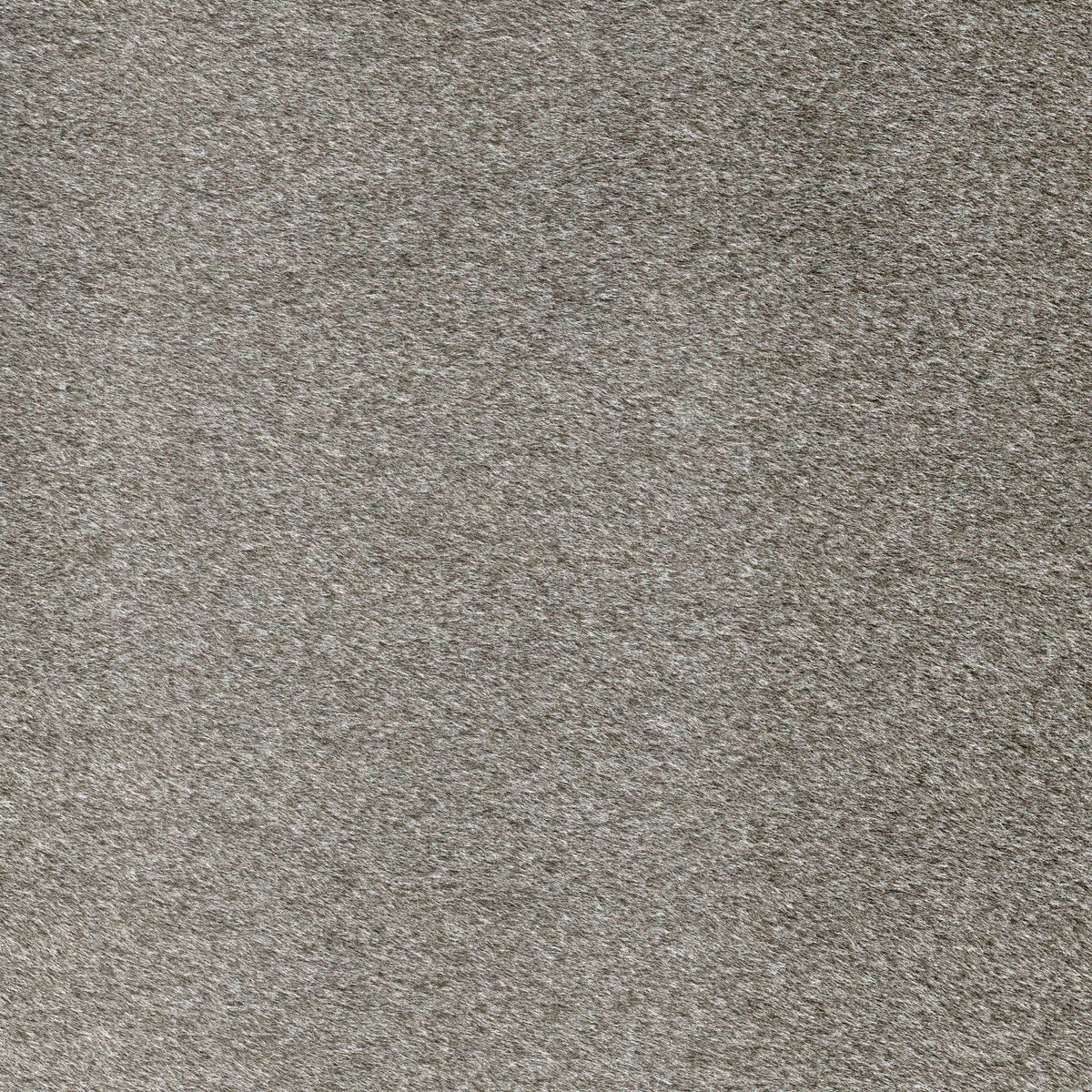 Tessuto Mohair Chocolate MH260 – tessuto a pelo rasato dalla mano vellutata