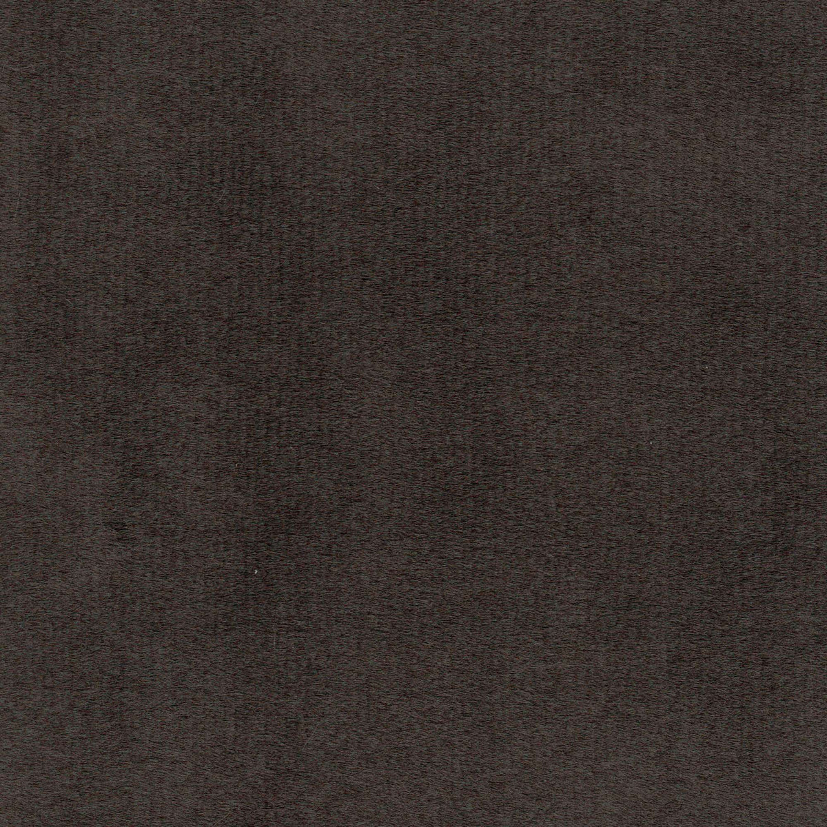 Tessuto Milano Brown MI08 – velluto a pelo alto dalla mano soffice