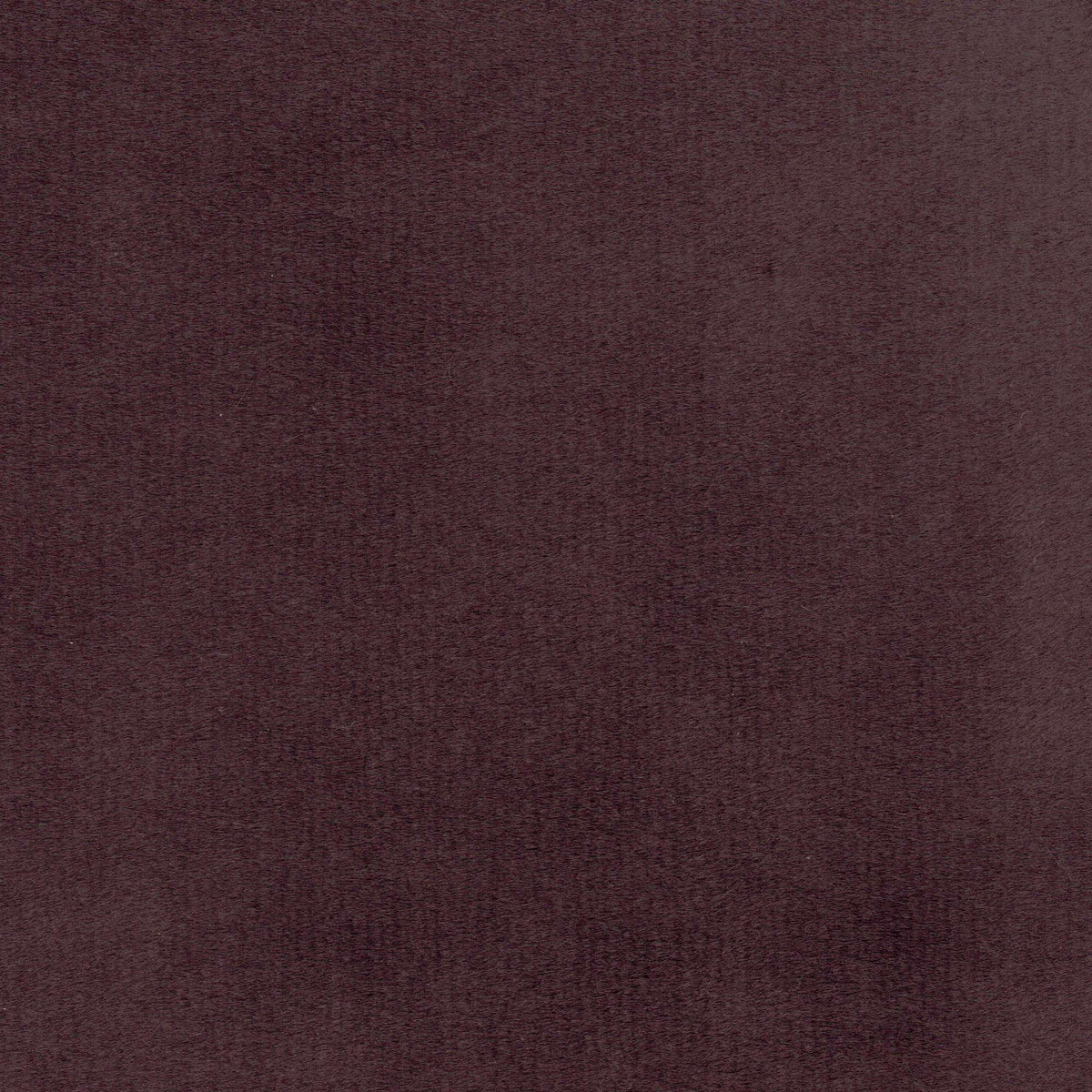 Tessuto Milano Dark Brown MI16 – velluto a pelo alto dalla mano soffice