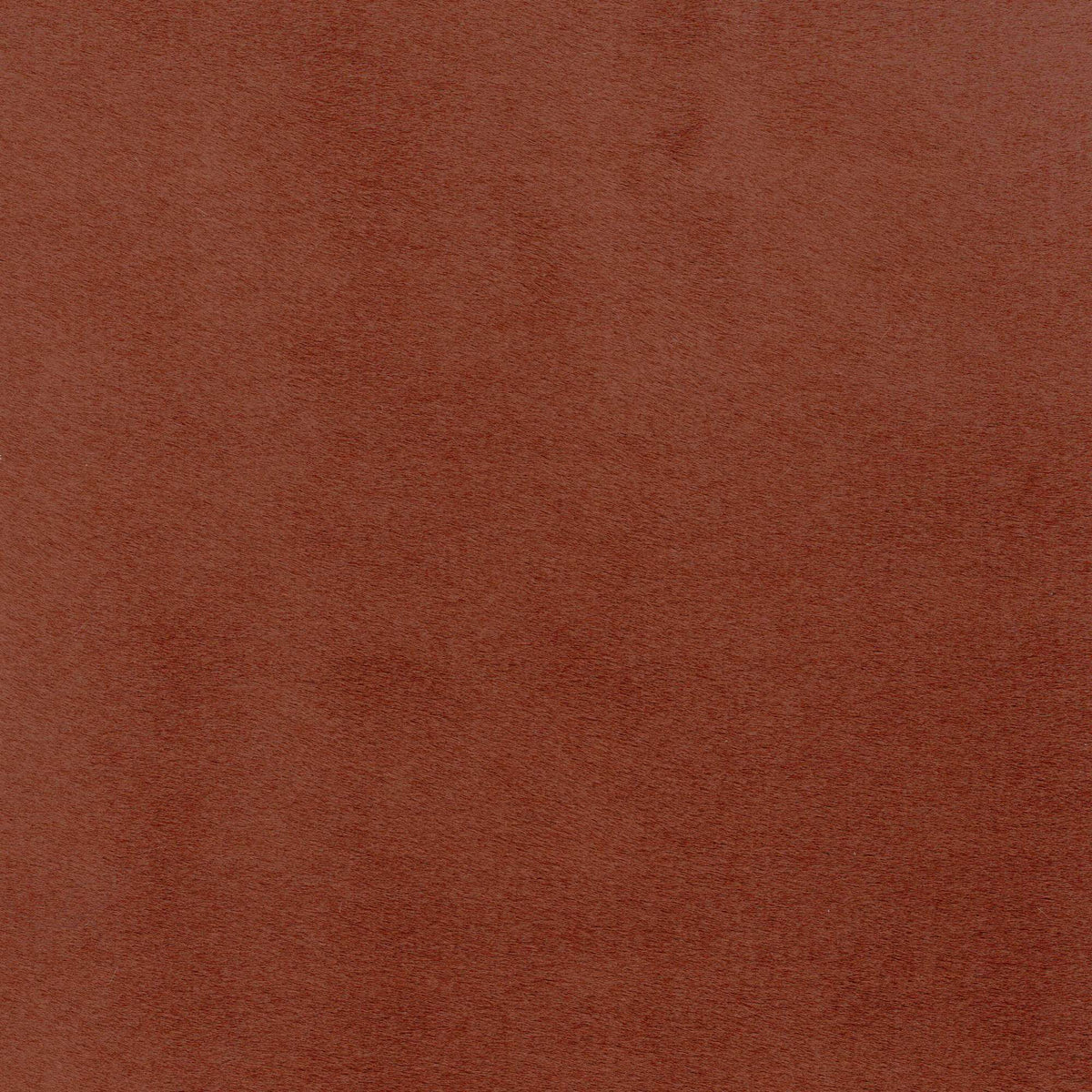 Tessuto Milano Cognac MI604 – velluto a pelo alto dalla mano soffice