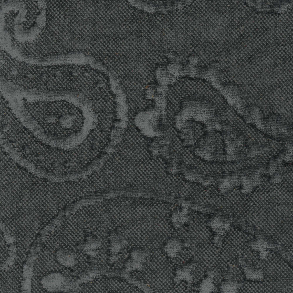 Tessuto Paisley Iron PA06 – motivo paisley in rilievo su tessuto bielastico