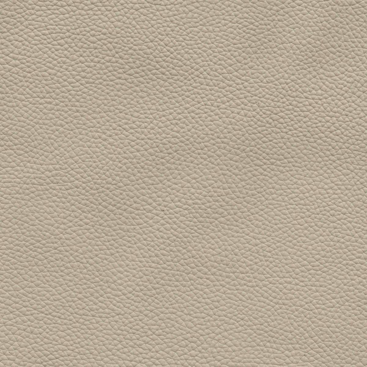 Pelle Uruguay Sabbia 1003 – vera pelle a stampa fine, colore beige