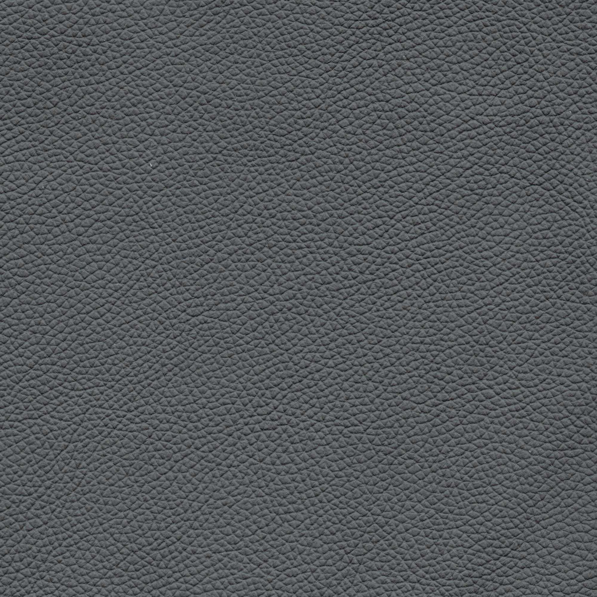 Pelle Uruguay Ombra 1004 – vera pelle a stampa fine, colore grigio