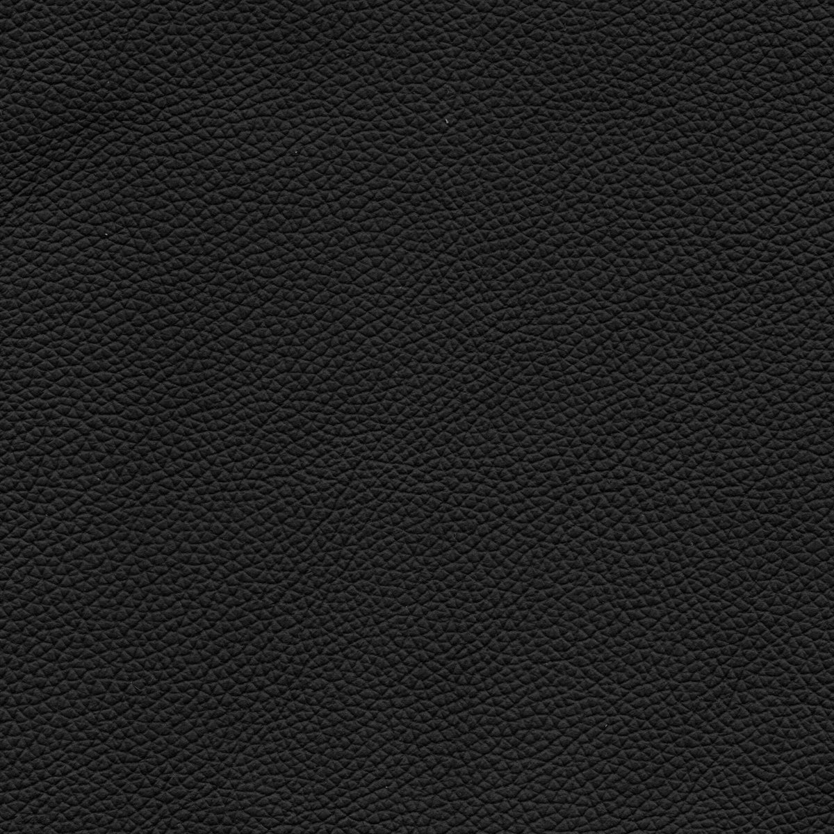 Pelle Uruguay Nero 1019 – vera pelle a stampa fine, colore nero
