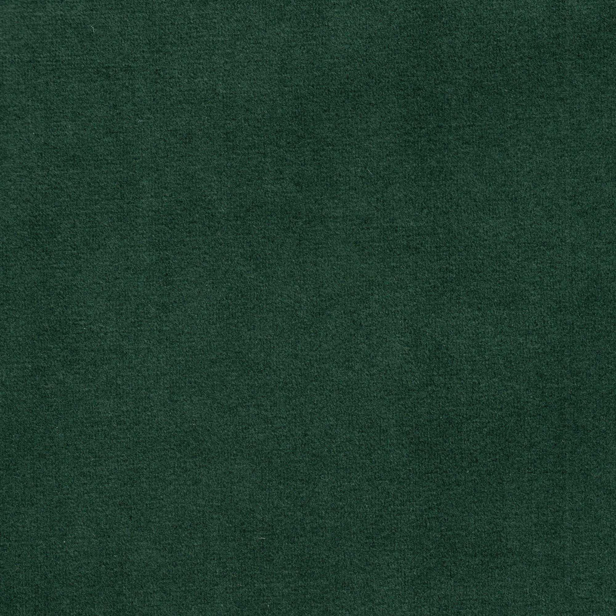 Tessuto Vogue Smeraldo 008 – velluto idrorepellente effetto cangiante, colore verde