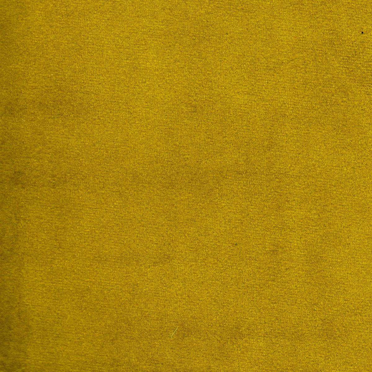 Tessuto Vogue Gold 029 – velluto idrorepellente effetto cangiante, colore giallo